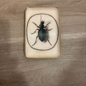 Insect Design Decorative Tray